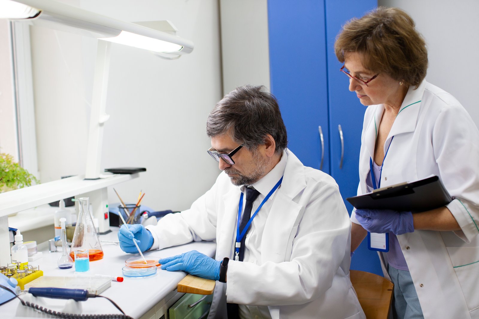 DNA Frammentation Test Treatment