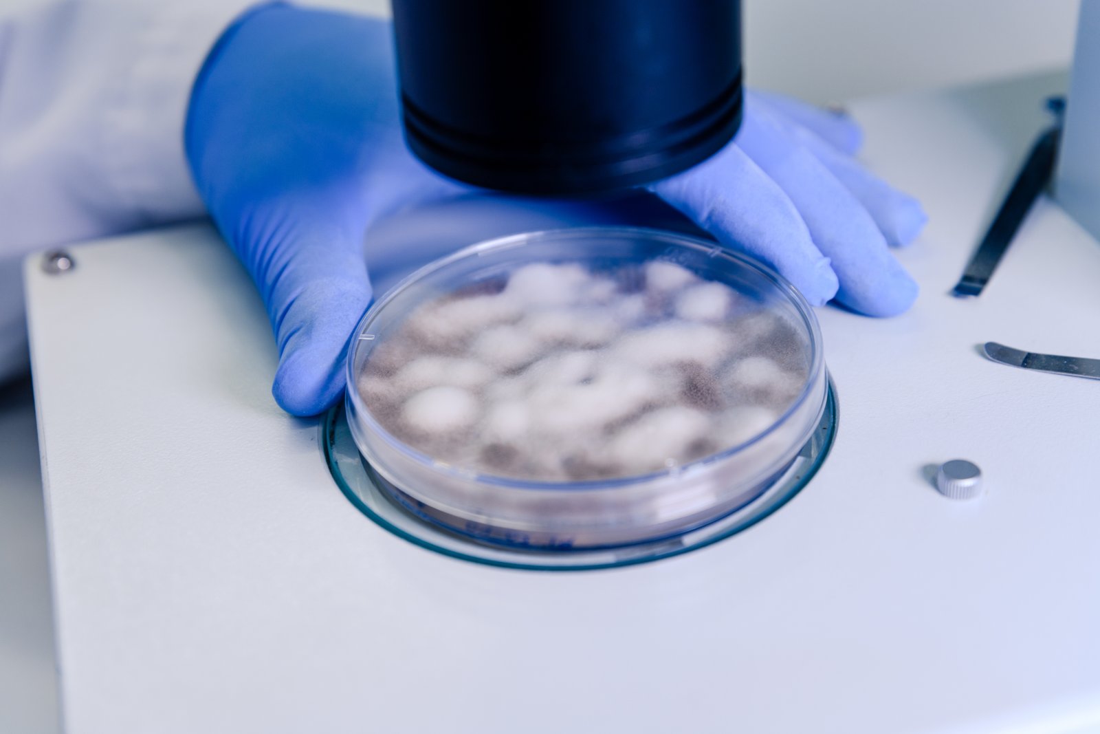 Advanced IVF laboratory techniques