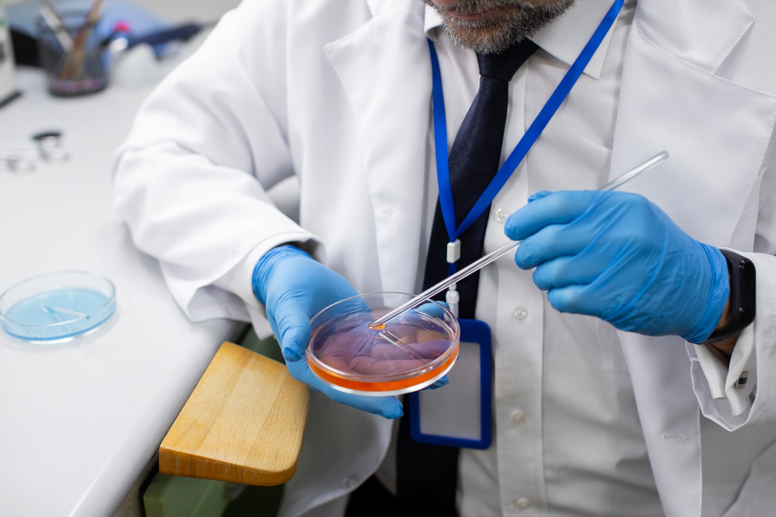 Micro-TESE microsurgical sperm extraction